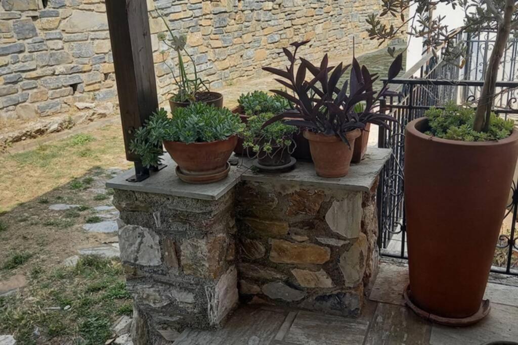 Pelion Cottage Милея Экстерьер фото